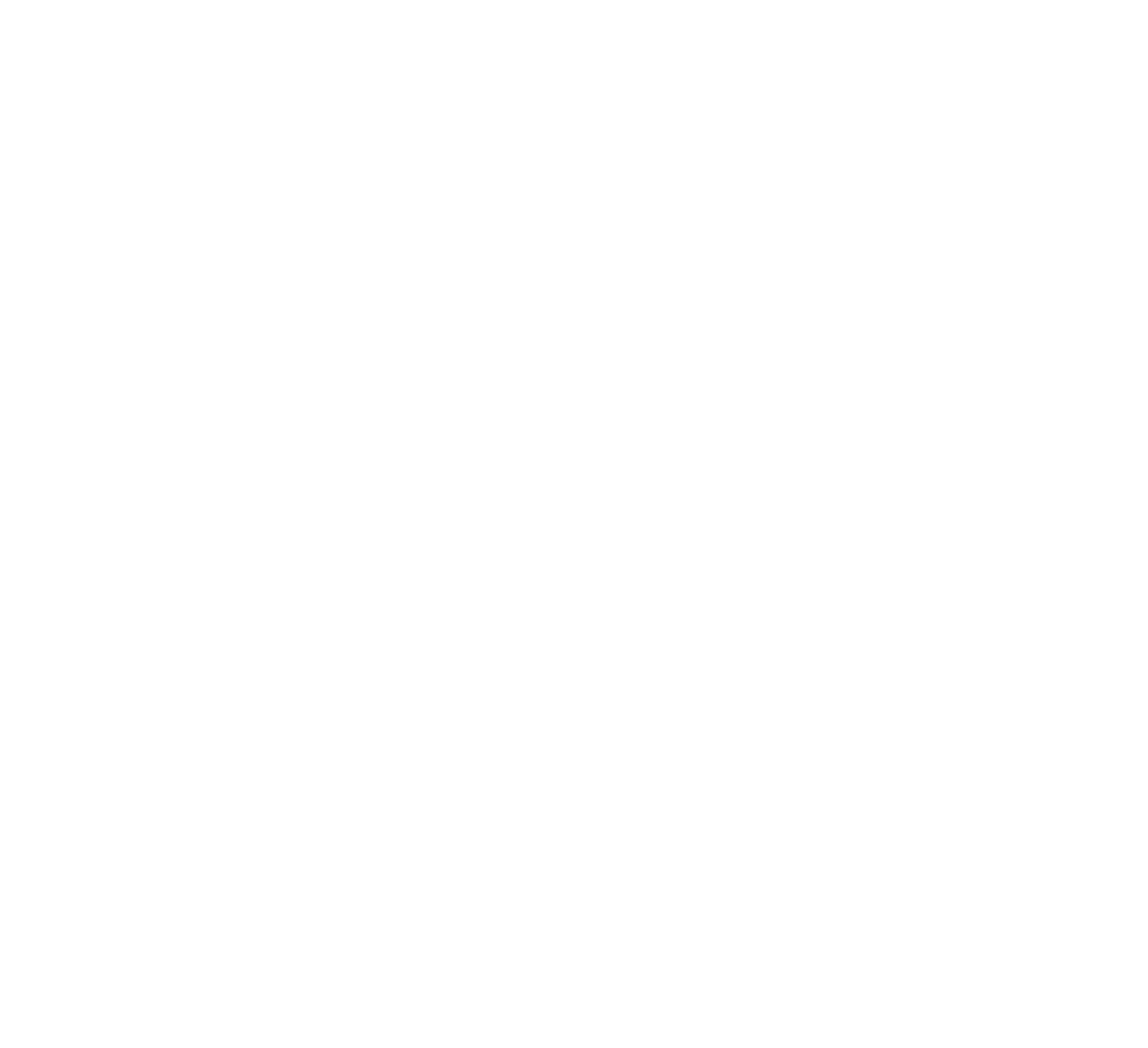 Car Studio Pros – STAGE Logo